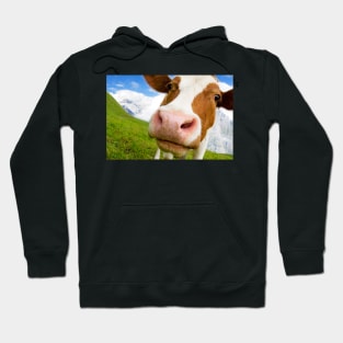 Swiss cow with big nose, wide angle shot Hoodie